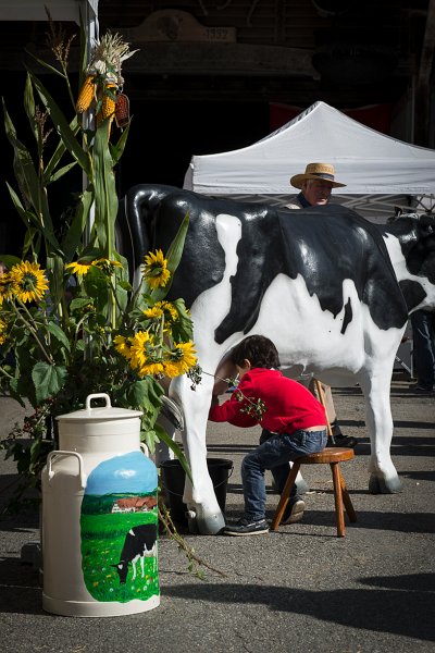 saugealles-100e-mano-vdl-011