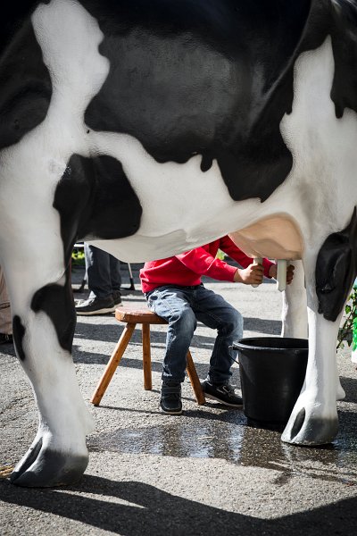 saugealles-100e-mano-vdl-012