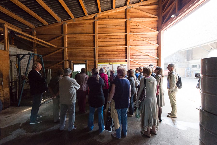 saugealles-100e-mano-vdl-013