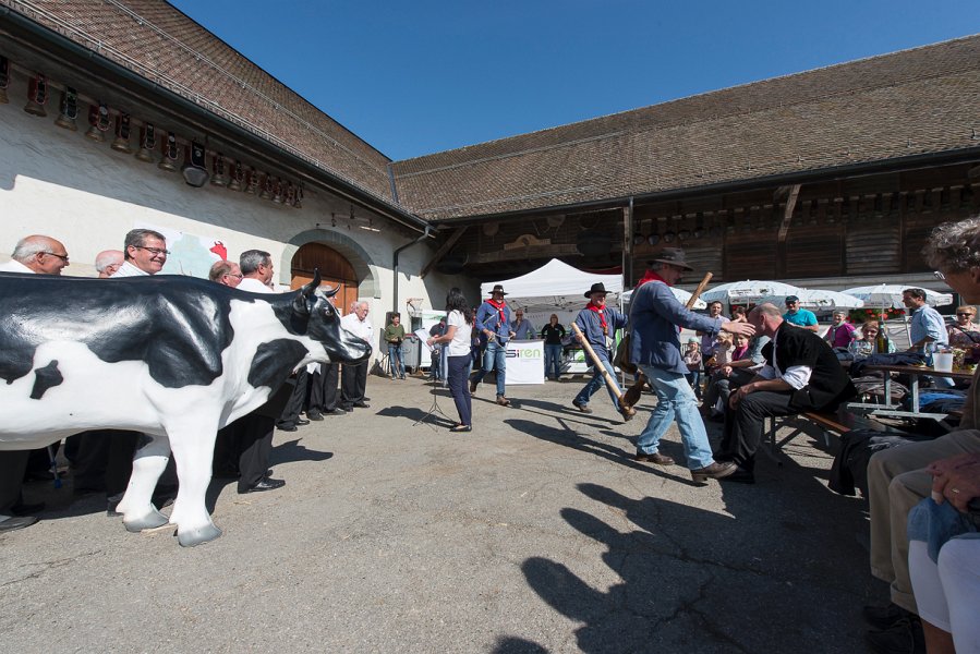 saugealles-100e-mano-vdl-016