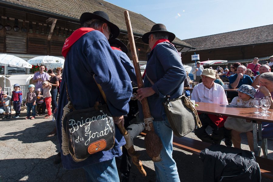 saugealles-100e-mano-vdl-017