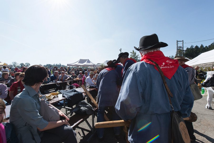 saugealles-100e-mano-vdl-018