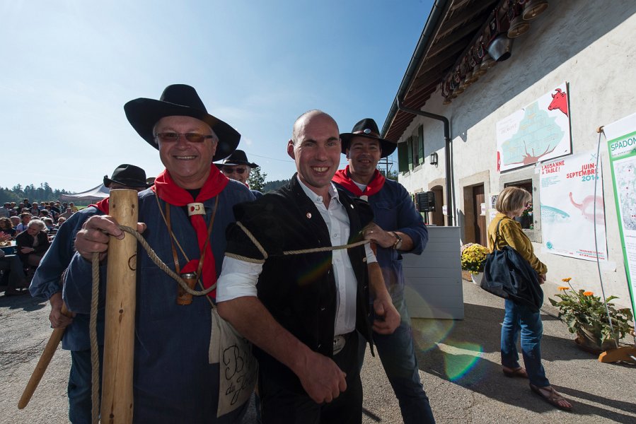 saugealles-100e-mano-vdl-019