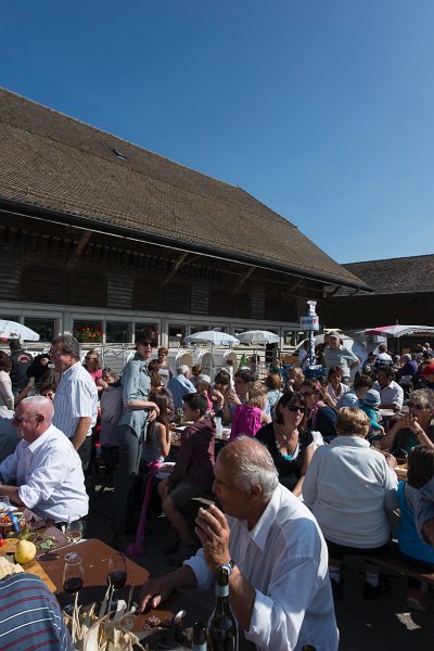 saugealles-100e-mano-vdl-022