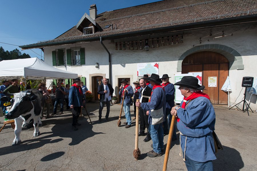 saugealles-100e-mano-vdl-023