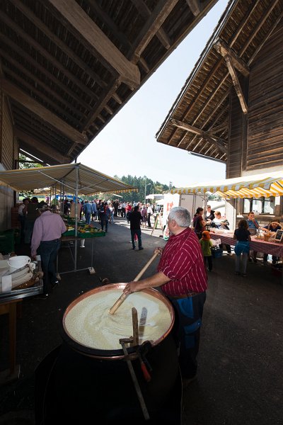 saugealles-100e-mano-vdl-030