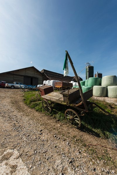 saugealles-100e-mano-vdl-031