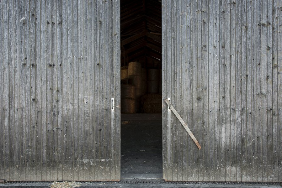 saugealles-100e-mano-vdl-035