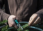 arbracadabra-edition7-3317.jpg