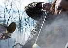 arbracadabra-edition7-3347.jpg