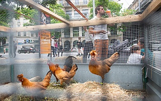 Fête de la Nature 2018 La Ville de Lausanne a profité de la seconde édition de la Fête de la Nature pour appeler la population à se mobiliser en faveur des bienfaits de la nature et…