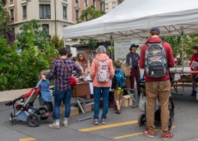 fete_nature_ville_grancy-2 Fête de la Nature sur le Boulevard de Grancy. Vente de Plantons, ateliers hôtels à insectes, associations et plantages participatifs dans le quartier