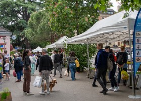 fete_nature_ville_grancy-4 Fête de la Nature sur le Boulevard de Grancy. Vente de Plantons, ateliers hôtels à insectes, associations et plantages participatifs dans le quartier