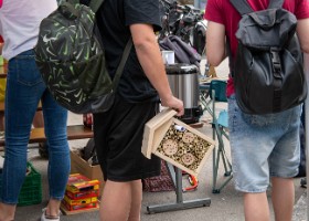 fete_nature_ville_grancy-5 Fête de la Nature sur le Boulevard de Grancy. Vente de Plantons, ateliers hôtels à insectes, associations et plantages participatifs dans le quartier