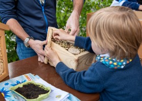 fete_nature_ville_grancy-6 Fête de la Nature sur le Boulevard de Grancy. Vente de Plantons, ateliers hôtels à insectes, associations et plantages participatifs dans le quartier