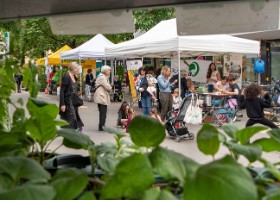 fete_nature_ville_grancy-7 Fête de la Nature sur le Boulevard de Grancy. Vente de Plantons, ateliers hôtels à insectes, associations et plantages participatifs dans le quartier