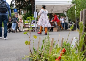 fete_nature_ville_grancy-8 Fête de la Nature sur le Boulevard de Grancy. Vente de Plantons, ateliers hôtels à insectes, associations et plantages participatifs dans le quartier