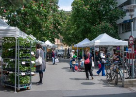 fete_nature_ville_grancy-9 Fête de la Nature sur le Boulevard de Grancy. Vente de Plantons, ateliers hôtels à insectes, associations et plantages participatifs dans le quartier