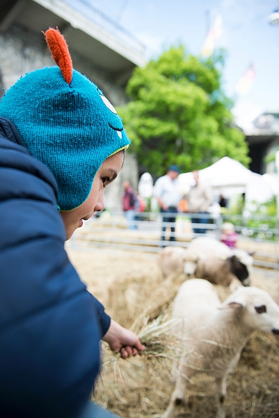 fete-nature-2017-6538