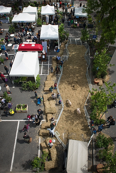 fete-nature-2017-6691