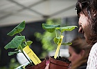 fete-nature-2017-6650.jpg