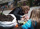 fete-nature-2017-6665.jpg