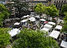 fete-nature-2017-6687.jpg