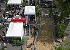 fete-nature-2017-6691.jpg