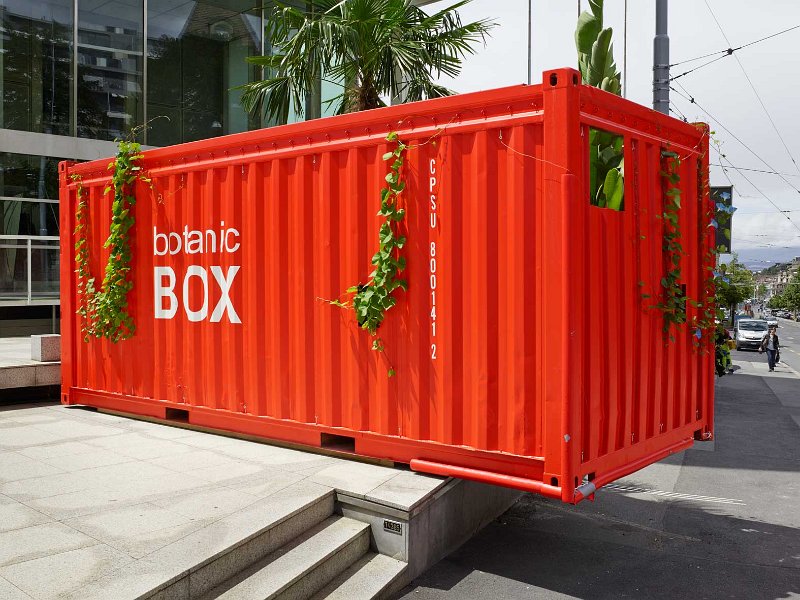 Botanic-box-Milo-Keller-1