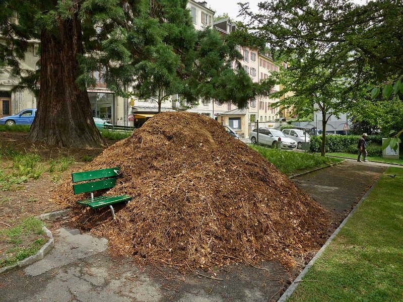 Dessous-d-un-bois-Milo-Keller-2