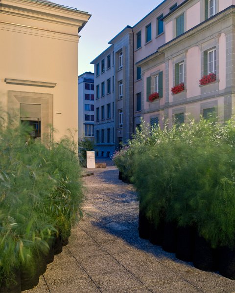 Garden-collective-Matthieu-Gafsou-2