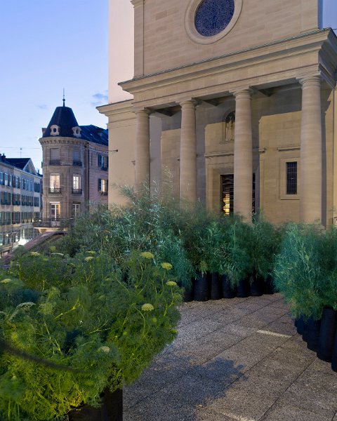 Garden-collective-Matthieu-Gafsou