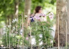 Micro-Cosmos – Place Chauderon