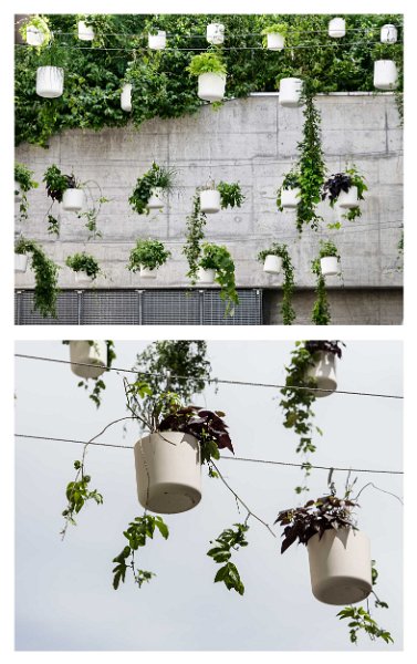 Plant-lines-Anne-Laure-Lechat-1