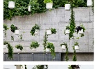 Plant-lines – Passage Mercier