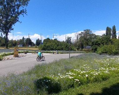 20240711_133358 Visite de LausanneJardin 2024 dans le Parc du Bourget, Flon Bleu