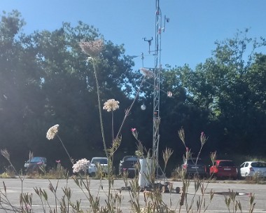 Craquelures dans le rééel 1 Visite de LausanneJardin 2024, Craquelures dans le rééel