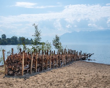 L'Arête Visite de LausanneJardin 2024 dans le Parc du Bourget, L'Arête