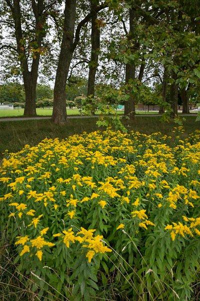 Jardins Lausanne 004