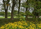 Jardins_Lausanne_004.jpg