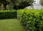 Jardins_Lausanne_104.jpg