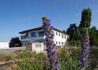 Jardins_Lausanne_992.jpg