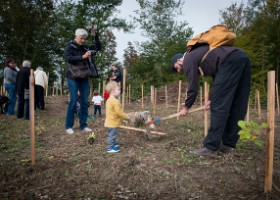 un-arbre-un-enfant-2014-mano020 Un arbre, un enfant | Edition 2014