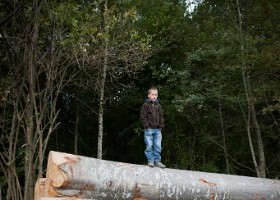 un-arbre-un-enfant-DIA-002 Un arbre, un enfant, 2015 – Bois de Vernand-Dessous
