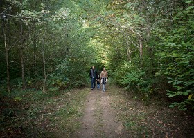 un-arbre-un-enfant-DIA-003 Un arbre, un enfant, 2015 – Bois de Vernand-Dessous