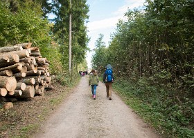 un-arbre-un-enfant-DIA-006 Un arbre, un enfant, 2015 – Bois de Vernand-Dessous