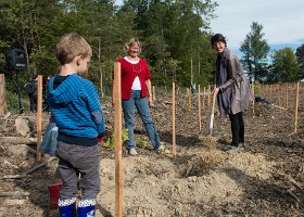 un-arbre-un-enfant-DIA-014 Un arbre, un enfant, 2015 – Bois de Vernand-Dessous