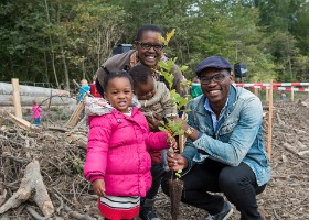 un-arbre-un-enfant-DIA-016 Un arbre, un enfant, 2015 – Bois de Vernand-Dessous