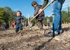 un-arbre-un-enfant-DIA-019 Un arbre, un enfant, 2015 – Bois de Vernand-Dessous