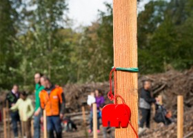 un-arbre-un-enfant-16-6392 Un arbre, un enfant, édition 2016.